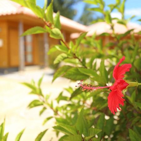 Tabinoteitaku Okinawa Nakijin Homann Concept Villa Ngoại thất bức ảnh